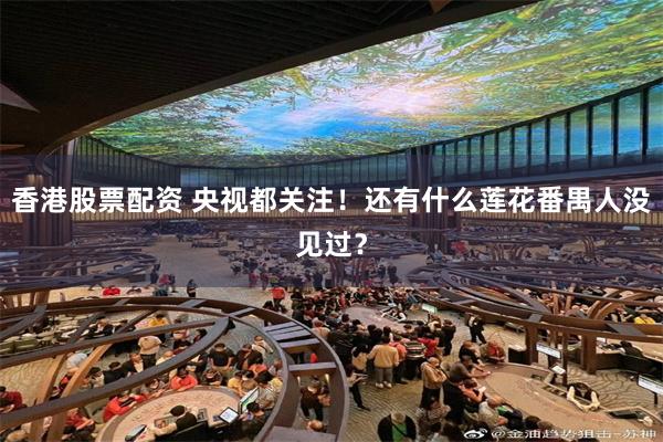 香港股票配资 央视都关注！还有什么莲花番禺人没见过？