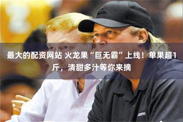 最大的配资网站 火龙果“巨无霸”上线！单果超1斤，清甜多汁等你来摘