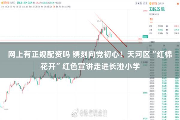 网上有正规配资吗 镌刻向党初心！天河区“红棉花开”红色宣讲走进长湴小学