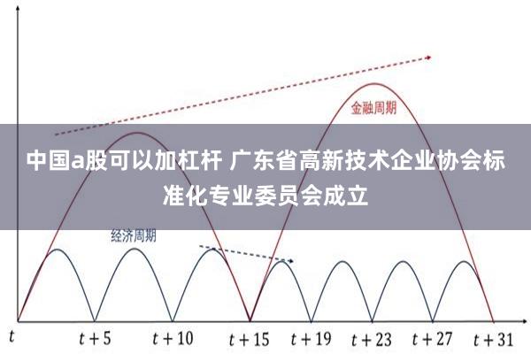 中国a股可以加杠杆 广东省高新技术企业协会标准化专业委员会成立