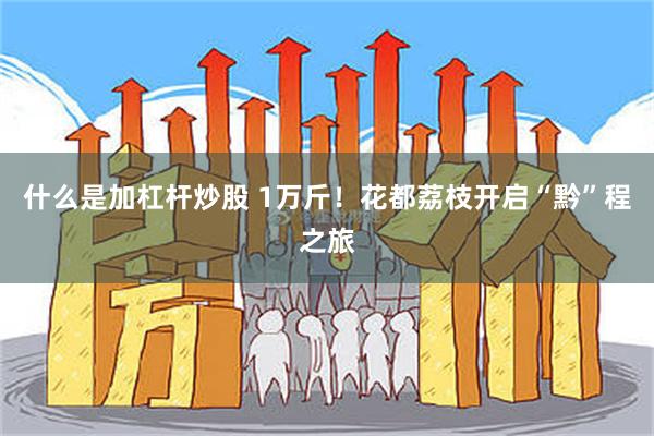 什么是加杠杆炒股 1万斤！花都荔枝开启“黔”程之旅