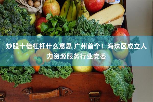 炒股十倍杠杆什么意思 广州首个！海珠区成立人力资源服务行业党委