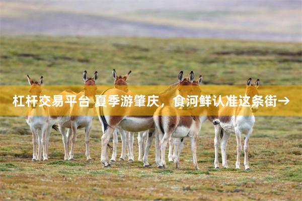 杠杆交易平台 夏季游肇庆，食河鲜认准这条街→
