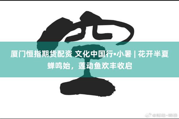 厦门恒指期货配资 文化中国行•小暑 | 花开半夏蝉鸣始,莲动鱼欢丰收启