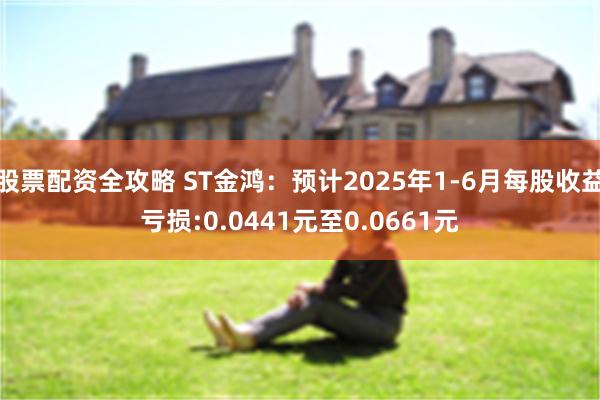 股票配资全攻略 ST金鸿：预计2025年1-6月每股收益亏损:0.0441元至0.0661元