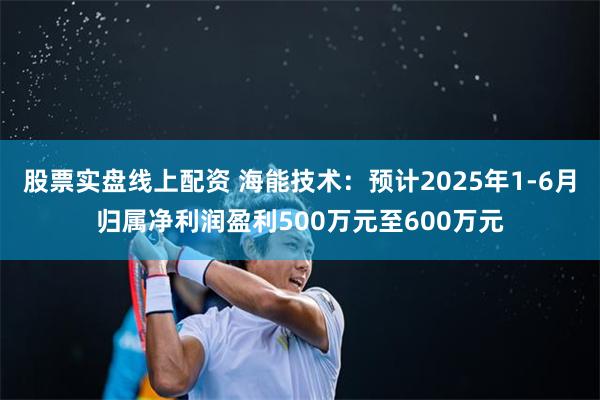 股票实盘线上配资 海能技术：预计2025年1-6月归属净利润盈利500万元至600万元