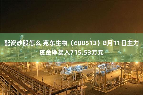 配资炒股怎么 苑东生物（688513）8月11日主力资金净买入715.53万元