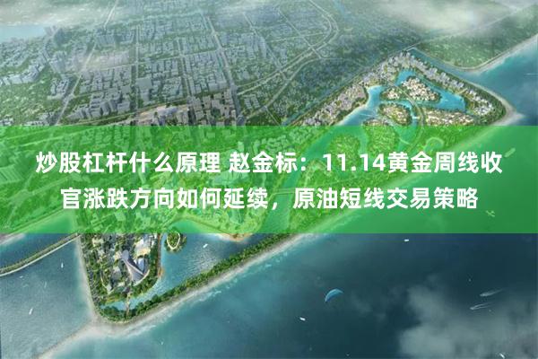 炒股杠杆什么原理 赵金标：11.14黄金周线收官涨跌方向如何延续，原油短线交易策略