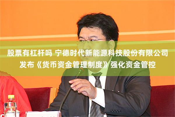 股票有杠杆吗 宁德时代新能源科技股份有限公司发布《货币资金管理制度》强化资金管控