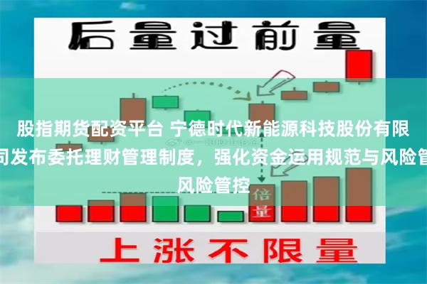 股指期货配资平台 宁德时代新能源科技股份有限公司发布委托理财管理制度，强化资金运用规范与风险管控
