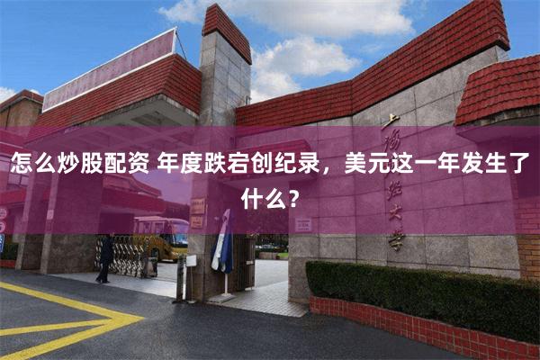 怎么炒股配资 年度跌宕创纪录,美元这一年发生了什么?