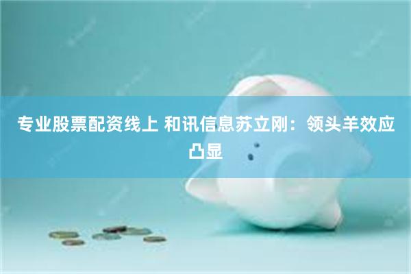 专业股票配资线上 和讯信息苏立刚：领头羊效应凸显