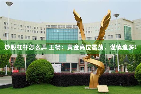 炒股杠杆怎么弄 王杨：黄金高位震荡，谨慎追多！