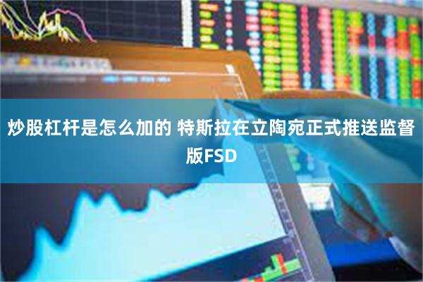 炒股杠杆是怎么加的 特斯拉在立陶宛正式推送监督版FSD