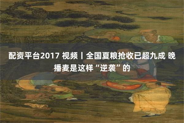 配资平台2017 视频丨全国夏粮抢收已超九成 晚播麦是这样“逆袭”的