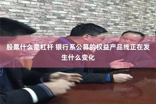 股票什么是杠杆 银行系公募的权益产品线正在发生什么变化