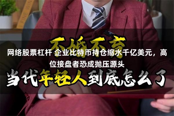 网络股票杠杆 企业比特币持仓缩水千亿美元,高位接盘者恐成抛压源头