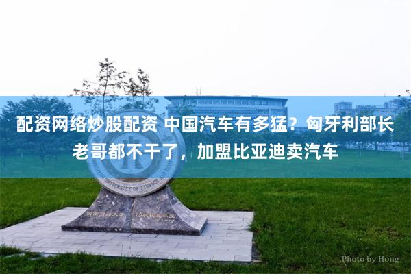 配资网络炒股配资 中国汽车有多猛?匈牙利部长老哥都不干了,加盟比亚迪卖汽车