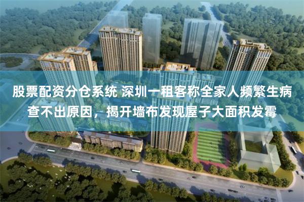 股票配资分仓系统 深圳一租客称全家人频繁生病查不出原因,揭开墙布发现屋子大面积发霉