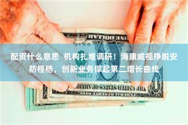 配资什么意思  机构扎堆调研！海康威视挣脱安防桎梏，创新业务撑起第二增长曲线