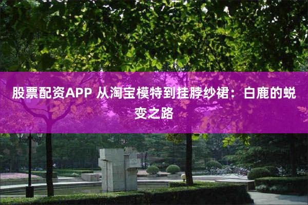 股票配资APP 从淘宝模特到挂脖纱裙：白鹿的蜕变之路