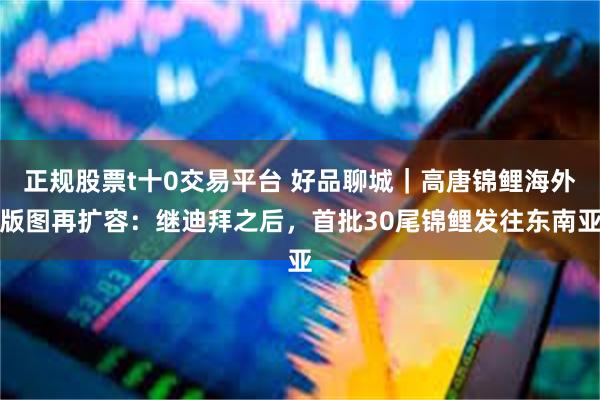 正规股票t十0交易平台 好品聊城｜高唐锦鲤海外版图再扩容：继迪拜之后，首批30尾锦鲤发往东南亚