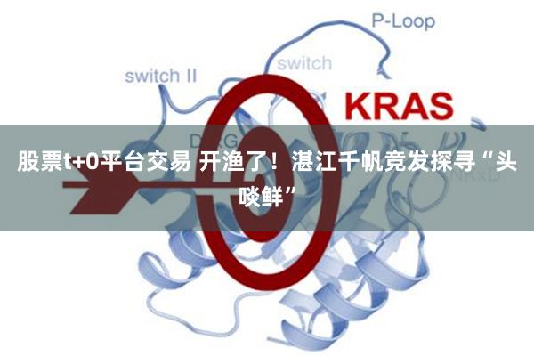 股票t+0平台交易 开渔了!湛江千帆竞发探寻“头啖鲜”