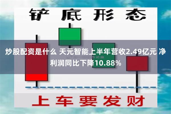 炒股配资是什么 天元智能上半年营收2.49亿元 净利润同比下降10.88%