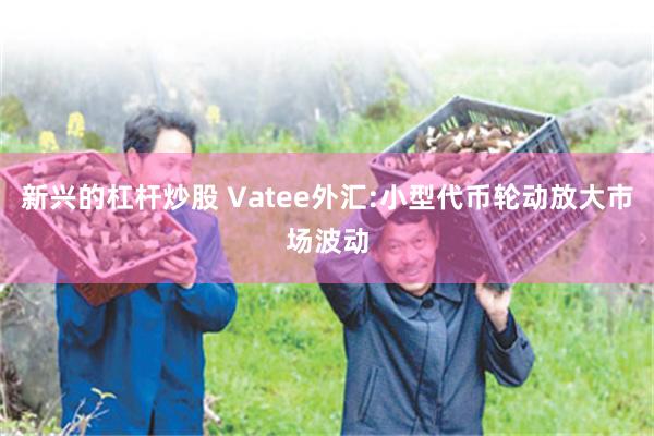 新兴的杠杆炒股 Vatee外汇:小型代币轮动放大市场波动