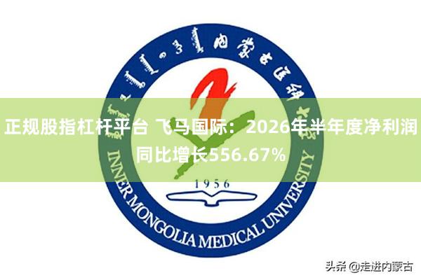 正规股指杠杆平台 飞马国际：2026年半年度净利润同比增长556.67%