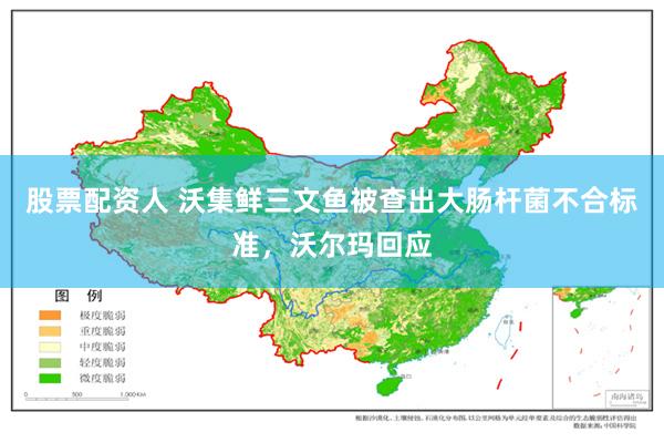 股票配资人 沃集鲜三文鱼被查出大肠杆菌不合标准，沃尔玛回应