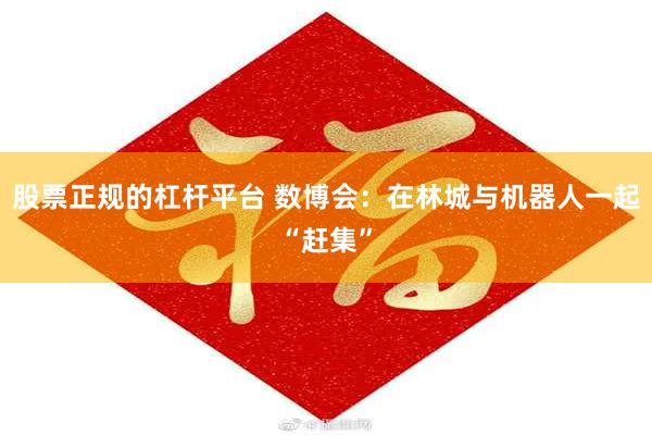股票正规的杠杆平台 数博会：在林城与机器人一起“赶集”