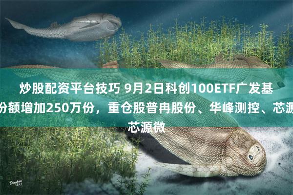 炒股配资平台技巧 9月2日科创100ETF广发基金份额增加250万份，重仓股普冉股份、华峰测控、芯源微