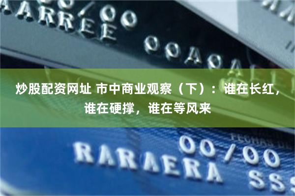 炒股配资网址 市中商业观察（下）：谁在长红，谁在硬撑，谁在等风来