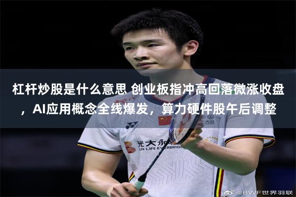 杠杆炒股是什么意思 创业板指冲高回落微涨收盘，AI应用概念全线爆发，算力硬件股午后调整