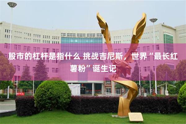股市的杠杆是指什么 挑战吉尼斯，世界“最长红薯粉”诞生记