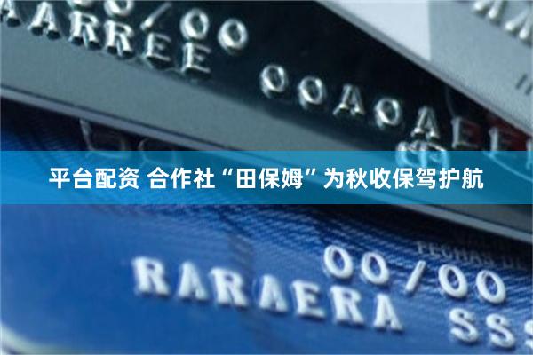 平台配资 合作社“田保姆”为秋收保驾护航