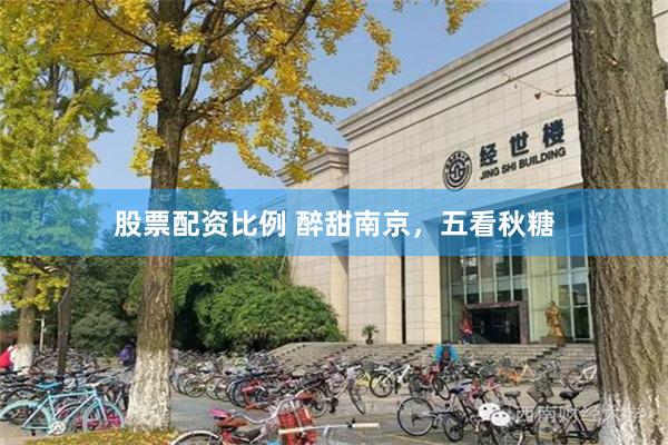 股票配资比例 醉甜南京，五看秋糖