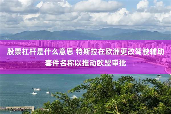 股票杠杆是什么意思 特斯拉在欧洲更改驾驶辅助套件名称以推动欧盟审批