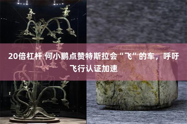 20倍杠杆 何小鹏点赞特斯拉会“飞”的车，呼吁飞行认证加速